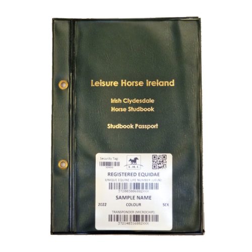 , NEW REGISTRATION – ICHS – PEDIGREE RECORDED YEARLING &#038; OLDER &#8211; (CLYDESDALE), Leisure Horse Ireland