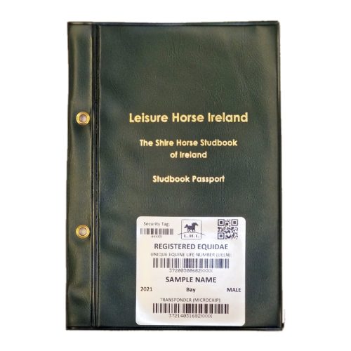 , NEW REGISTRATION – SHSI – PEDIGREE RECORDED YEARLING &#038; OLDER &#8211; (SHIRE), Leisure Horse Ireland