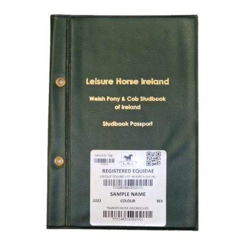 , NEW REGISTRATION – WPCS – PEDIGREE RECORDED YEARLING &#038; OLDER &#8211; (WELSH), Leisure Horse Ireland